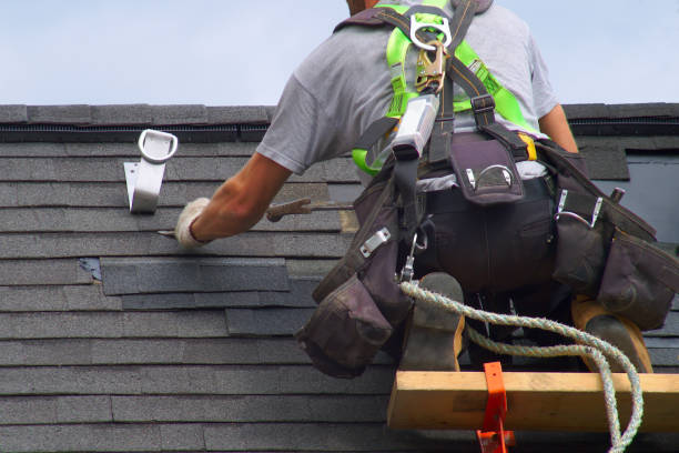 Best Roof Gutter Cleaning  in Rochester, NY